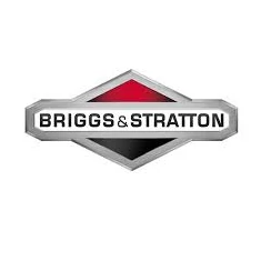 Briggs&Stratton
